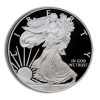 2010-W Proof Silver Eagle with Box & COA Obverse