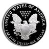 2010-W Proof Silver Eagle with Box & COA Reverse