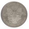 2008-W Reverse of 2007 Burnished Silver Eagle with Box & COA