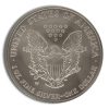 2006-W Burnished Silver Eagle with Box & COA
