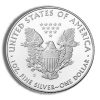 2019 Silver Eagle PCGS MS70 First Strike